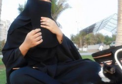 娱乐吃瓜君说七七视频,揭秘娱乐圈幕后故事，娱乐吃瓜君带你一探究竟